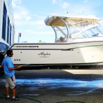 Tierra Verde Marina 071